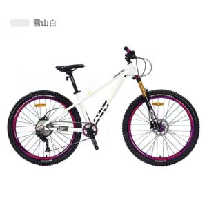 Mountain bike, 21-speed bicycle, shock absorption, front and rear dual disc brakes, children's cross-border mountain bike, 21 speed bicycle, shock absorption, front and rear dual disc brakes, children