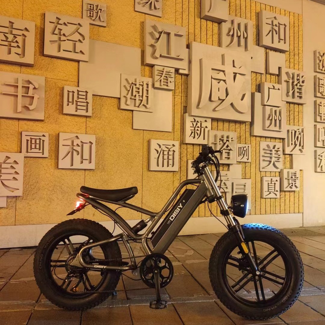 akez ebike 20 inch off road aluminum alloy soft tail electric vehicle snow assisted lithium battery off road motorcycle akez ebike 20 inch off road aluminum alloy soft tail electric vehicle snow assisted lithium battery off road motorcycle