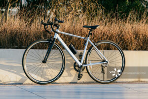 AKEZ EBIKE 20-inch off-road aluminum alloy soft-tail electric vehicle snow-assisted lithium battery off-road motorcycle vcg41n1954928734