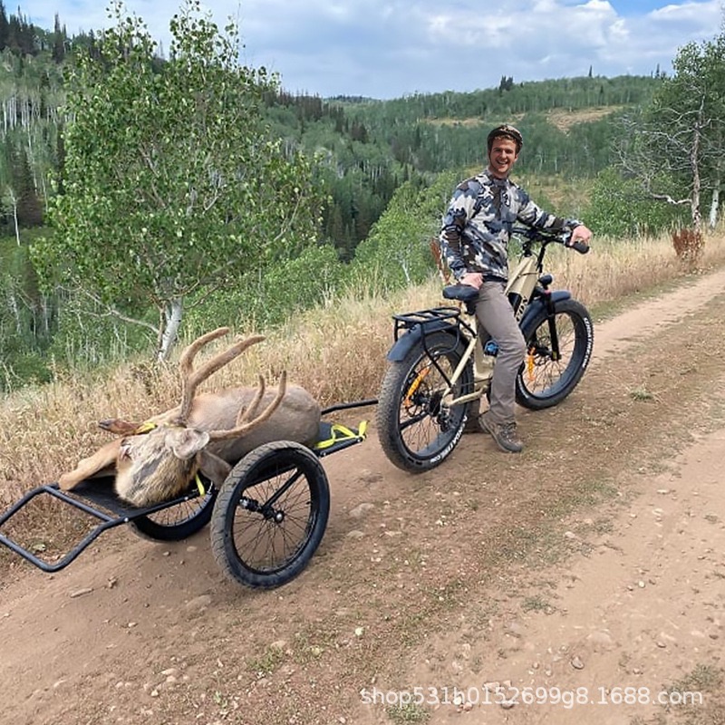 微信图片 20260204131408 8 34 微信图片 20260204131408 8 34